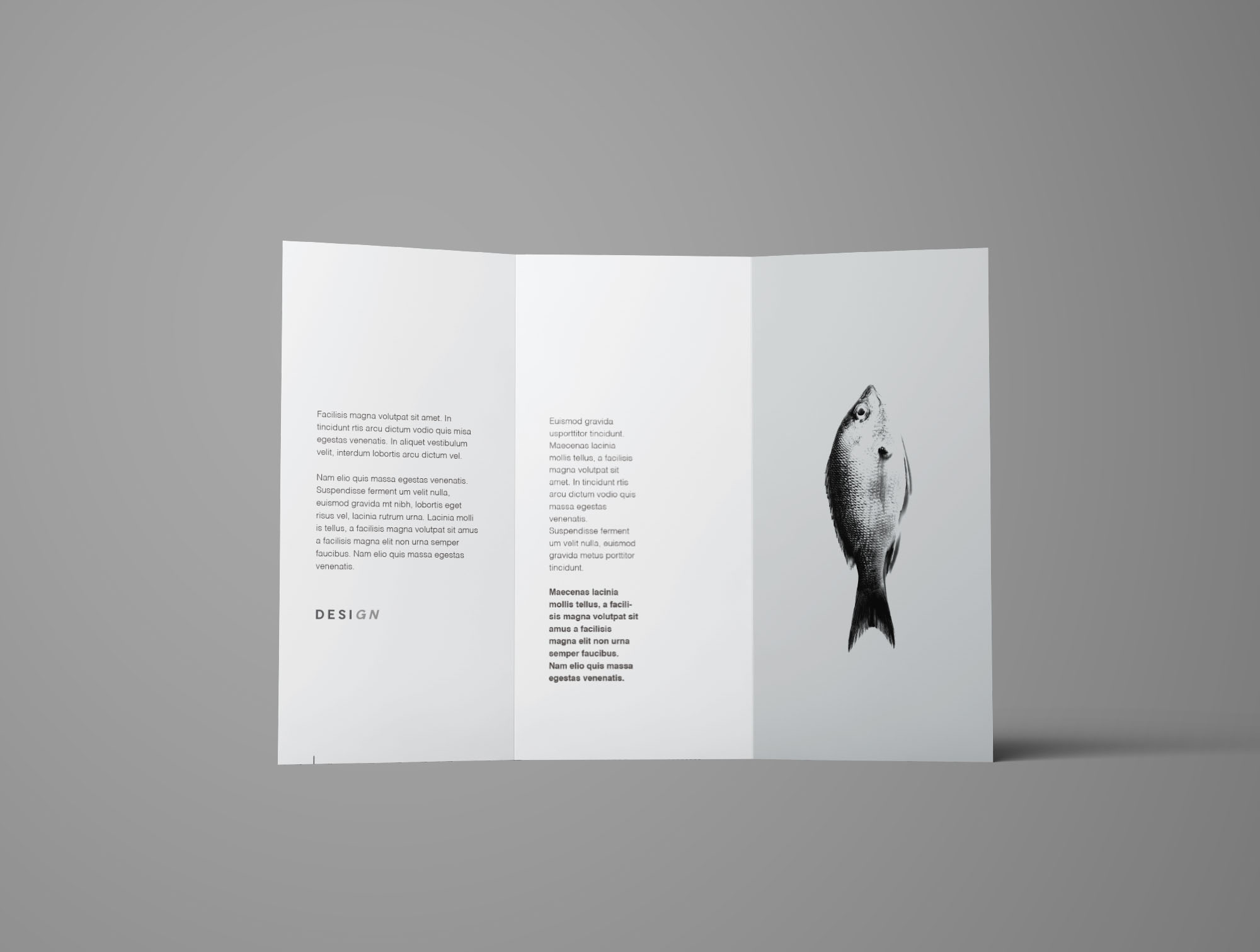 TriFold Brochure Mockup