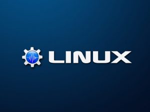 Distro Linux Terbaik