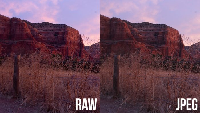 Cara Memulihkan Foto RAW yang Hilang dari Kamera Digital Anda 1